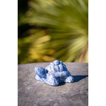 Décoration Tortue - Palmiers du Monde