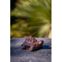 Décoration Tortue - Palmiers du Monde