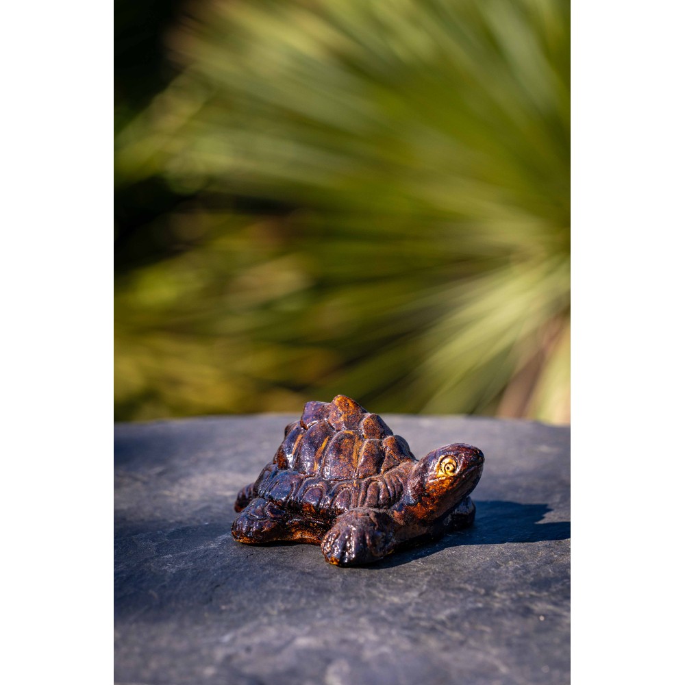 Décoration Tortue - Palmiers du Monde