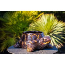 Cache-pot - Tortue
