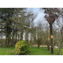 Abri à chauves-souris XL - SORA