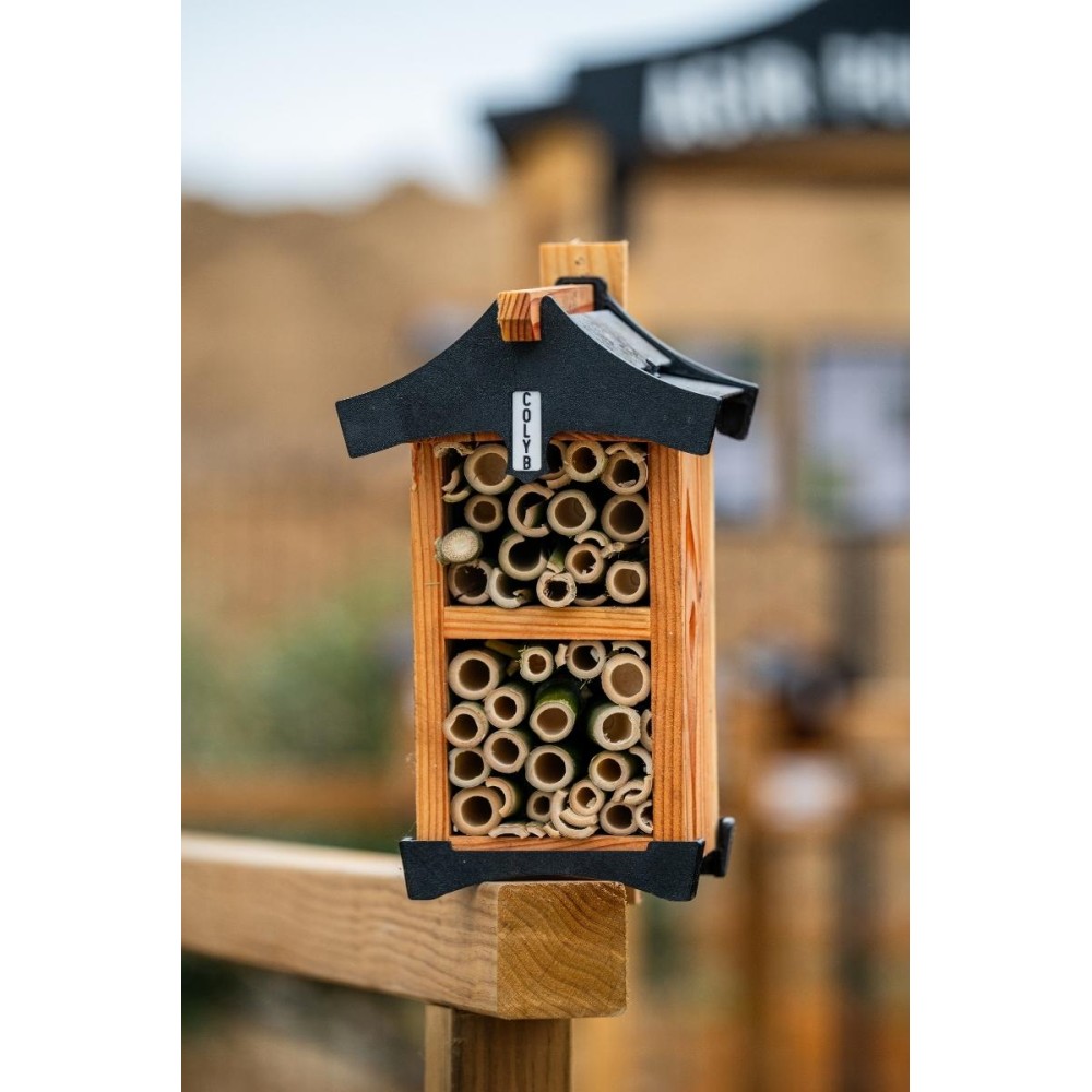 HÔTEL A INSECTES - HARU