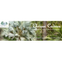 Chèques cadeaux - Palmiers du Monde