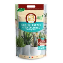 Substrat cactus- Palmiers du Monde