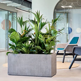 agencement de jardins