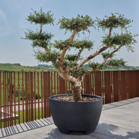agencement de jardins
