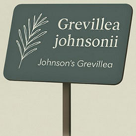 agencement de jardins